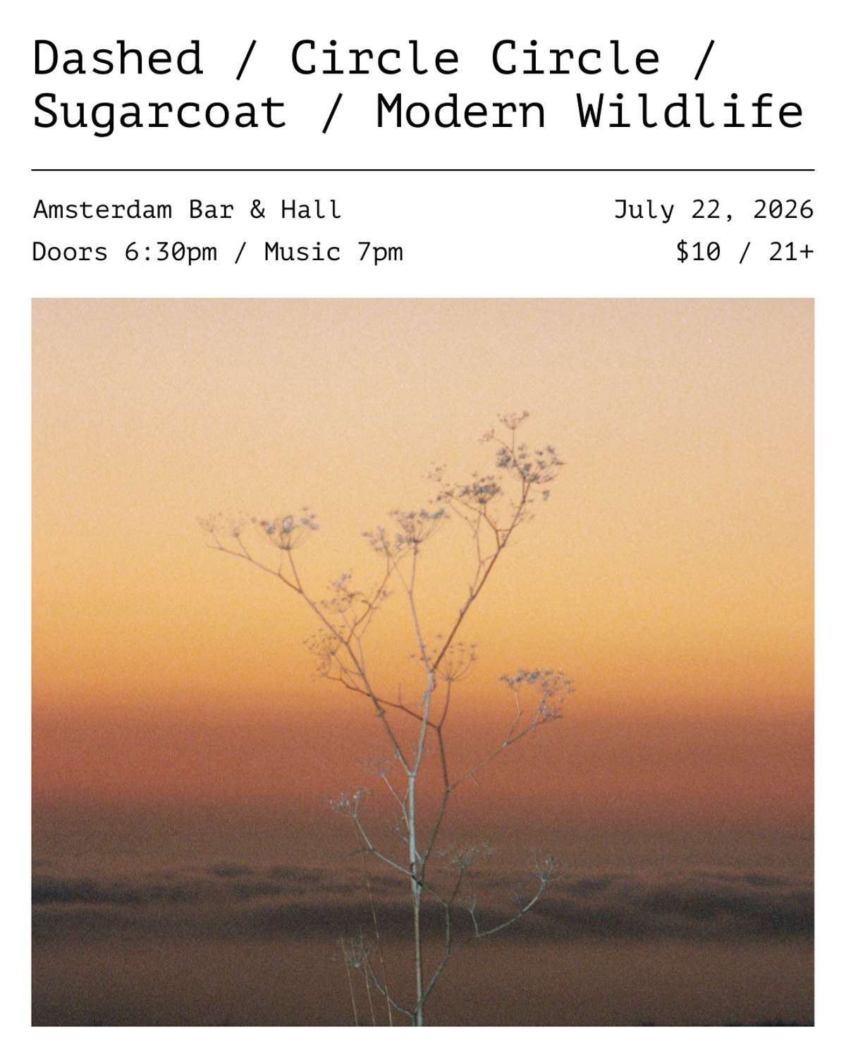 Dashed w/ Circle Circle, Sugarcoat, & Modern Wildife
